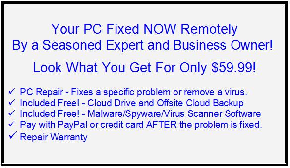 Online Virus Removal Service